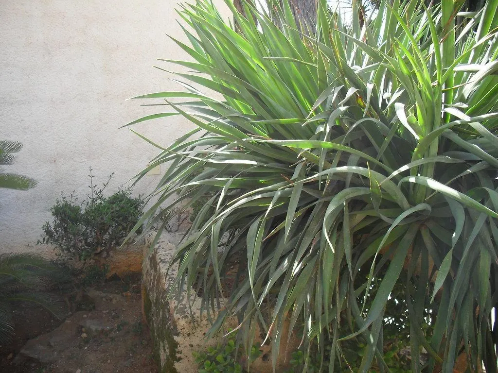 דירות מרסאלה Casa Petros